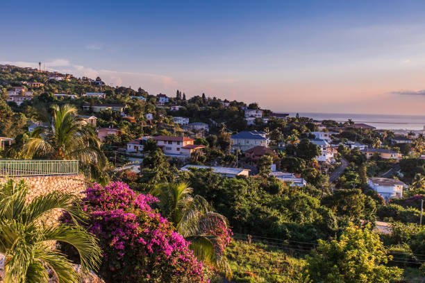 Jamaica's Fintech Evolution: A Blueprint for Caribbean Economic Growth