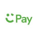 UAE's Digital Wallet Landscape: Who Will Dominate by 2026?