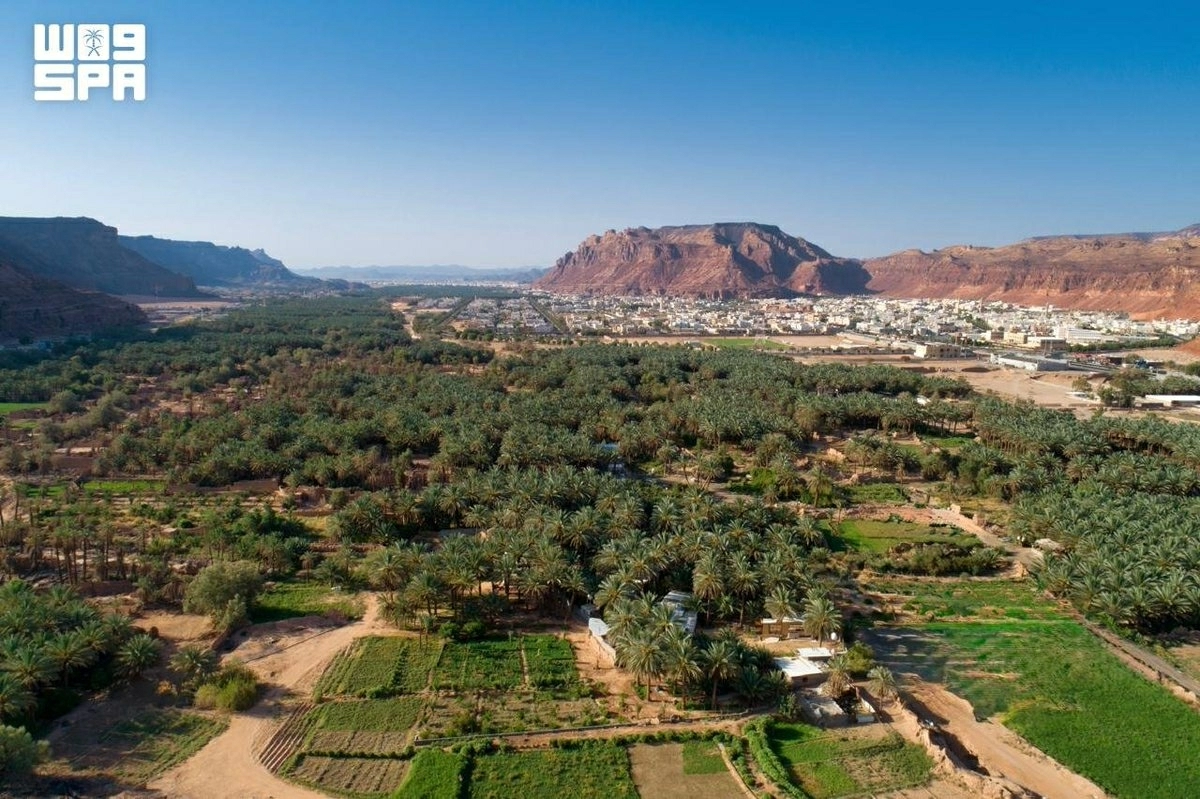 AlUla's Agricultural Season Aims to Boost Date Production and Sustainability Efforts