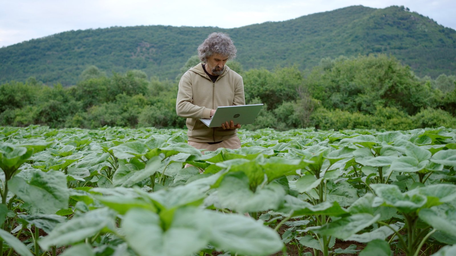 Laying the Groundwork: Data Readiness is Key for AI in Agriculture